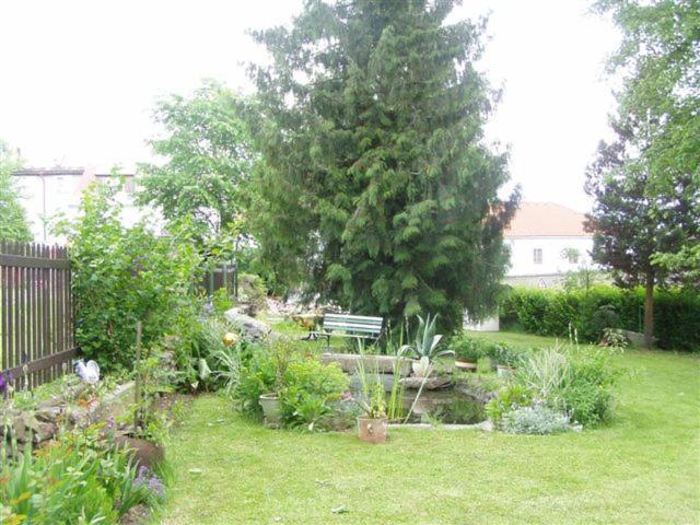 Penzion U Pesku Horni Plana Exterior photo