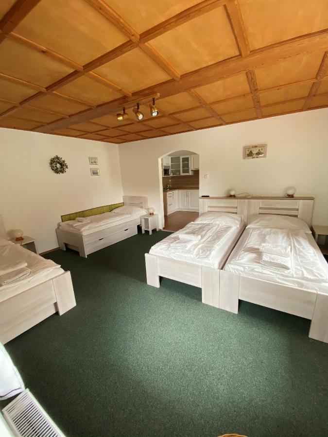 Penzion U Pesku Horni Plana Exterior photo